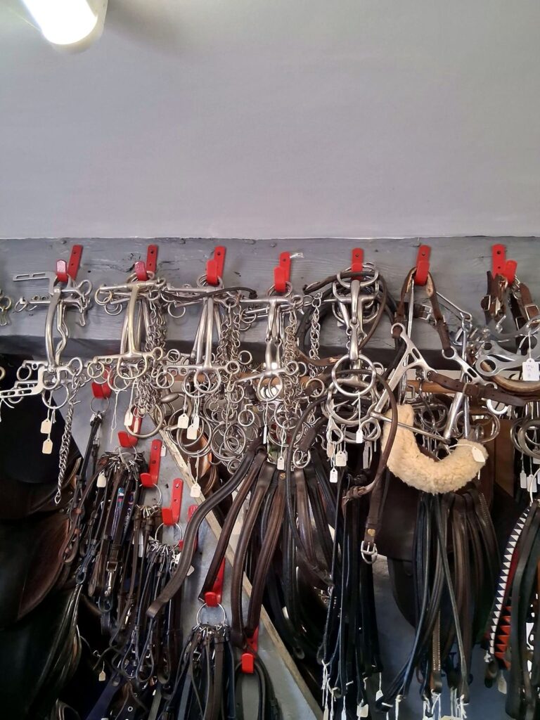 Wall of stainless steel snaffle and pelham bits at The Newark Saddler